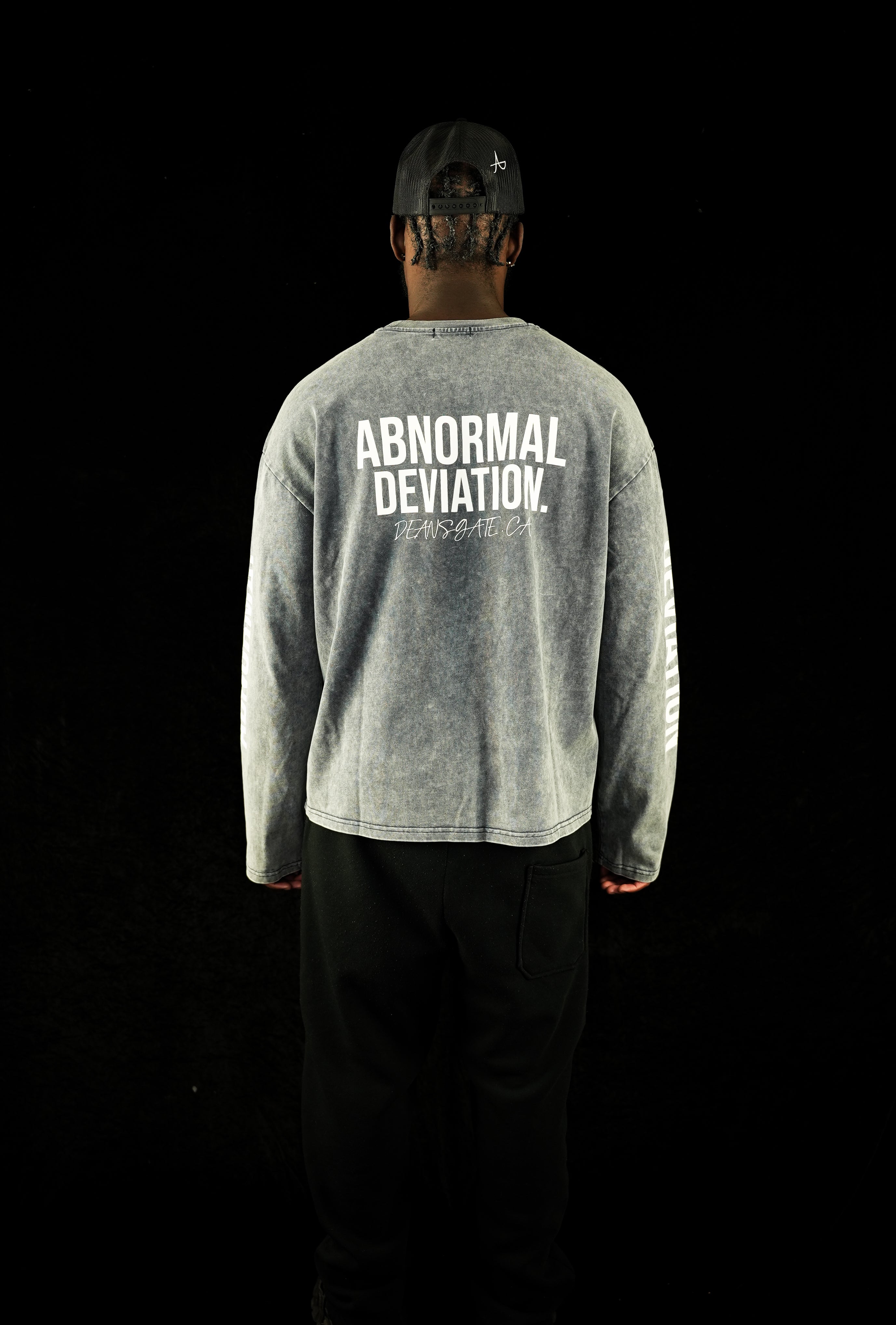ASH GREY LS T
